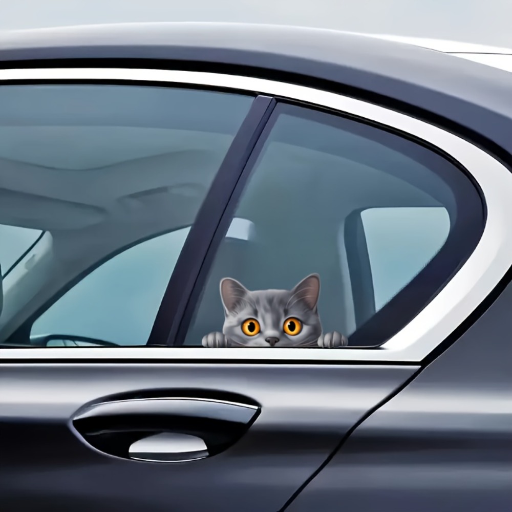 A Small Gray Cat Cute Car Lapt - Laptop Unique Accessories avis et prix